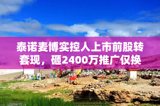泰诺麦博实控人上市前股转套现，砸2400万推广仅换来17万营收