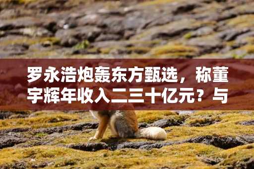 罗永浩炮轰东方甄选，称董宇辉年收入二三十亿元？与辉同行回应：不属实