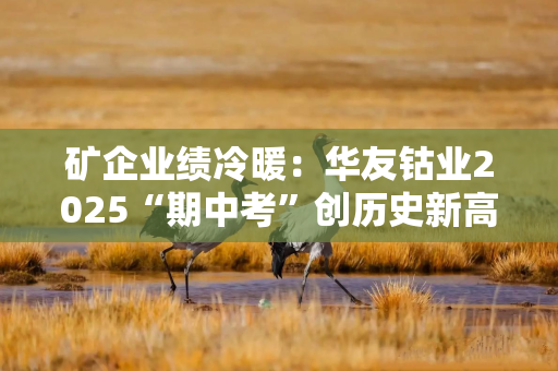 矿企业绩冷暖：华友钴业2025“期中考”创历史新高，股价年内飙升超50%
