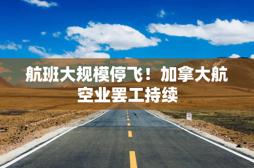 航班大规模停飞！加拿大航空业罢工持续