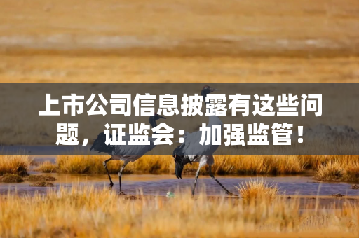 上市公司信息披露有这些问题，证监会：加强监管！