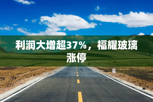 利润大增超37%，福耀玻璃涨停
