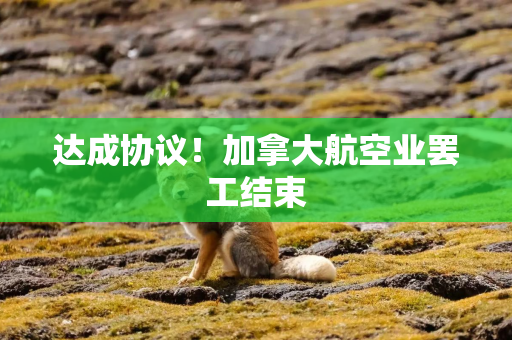 达成协议！加拿大航空业罢工结束