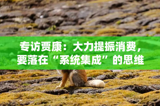 专访贾康：大力提振消费，要落在“系统集成”的思维框架上