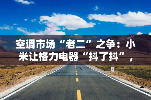 空调市场“老二”之争：小米让格力电器“抖了抖”，董明珠岂能坐视不管？