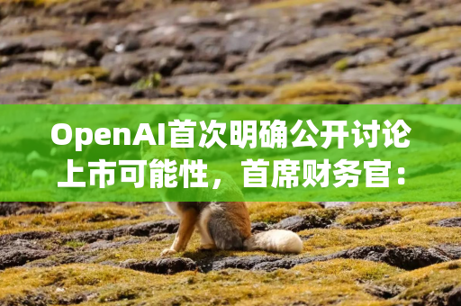 OpenAI首次明确公开讨论上市可能性，首席财务官：未来或出售AI基础设施服务