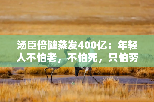 汤臣倍健蒸发400亿：年轻人不怕老，不怕死，只怕穷？