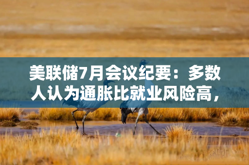 美联储7月会议纪要：多数人认为通胀比就业风险高，担心美债市场脆弱，关注稳定币影响