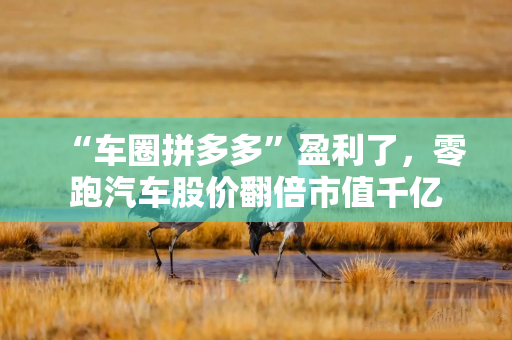“车圈拼多多”盈利了，零跑汽车股价翻倍市值千亿