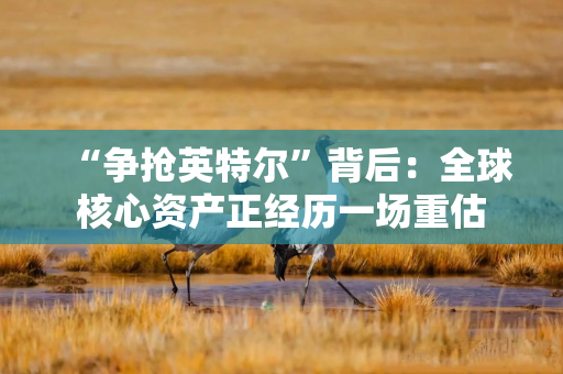 “争抢英特尔”背后：全球核心资产正经历一场重估