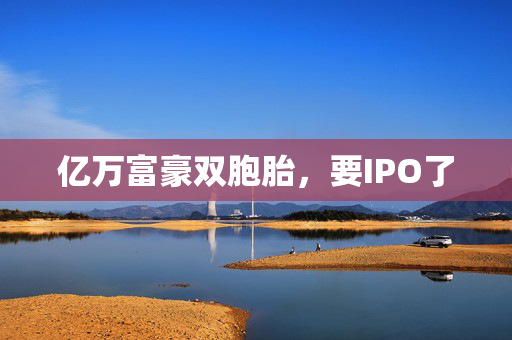 亿万富豪双胞胎，要IPO了