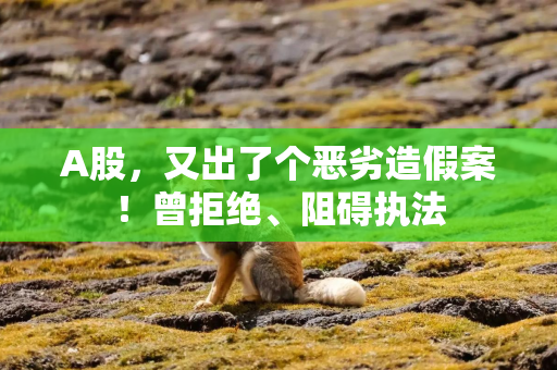 A股，又出了个恶劣造假案！曾拒绝、阻碍执法