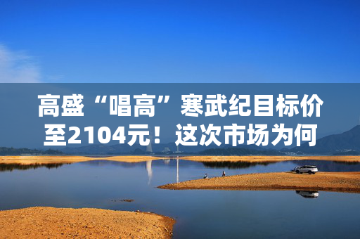 高盛“唱高”寒武纪目标价至2104元！这次市场为何没跟进