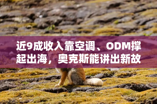 近9成收入靠空调、ODM撑起出海，奥克斯能讲出新故事吗？