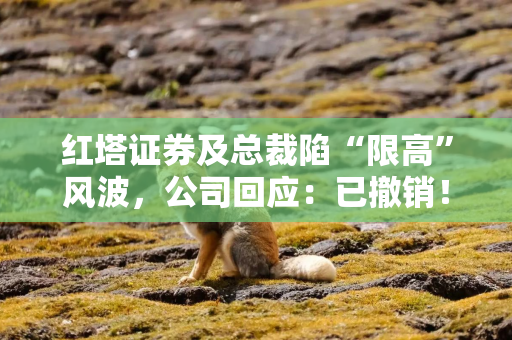 红塔证券及总裁陷“限高”风波，公司回应：已撤销！红鑫2号还要付5828万？