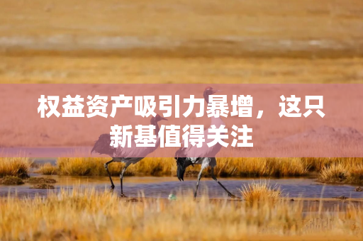 权益资产吸引力暴增，这只新基值得关注