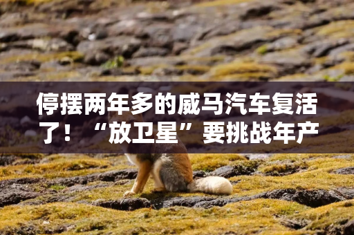 停摆两年多的威马汽车复活了！“放卫星”要挑战年产100万辆