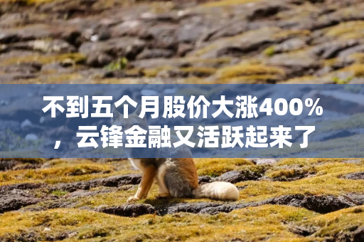 不到五个月股价大涨400%，云锋金融又活跃起来了
