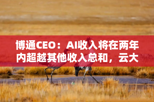 博通CEO：AI收入将在两年内超越其他收入总和，云大厂主导ASIC芯片、企业将继续依赖GPU