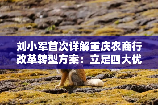 刘小军首次详解重庆农商行改革转型方案：立足四大优势，构建“三种新动能”