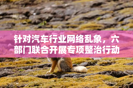 针对汽车行业网络乱象，六部门联合开展专项整治行动