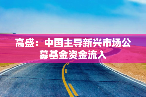 高盛：中国主导新兴市场公募基金资金流入