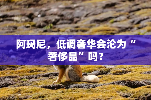 阿玛尼，低调奢华会沦为“奢侈品”吗？