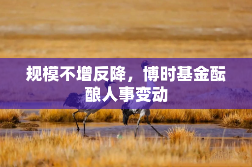 规模不增反降，博时基金酝酿人事变动