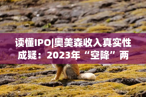 读懂IPO|奥美森收入真实性成疑：2023年“空降”两大土耳其客户，第一大产品定价不及对手一半，毛利率竟逆势反超