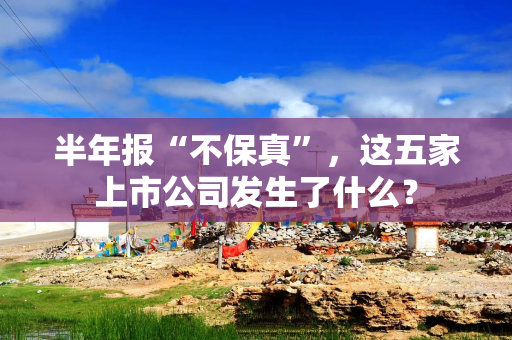 半年报“不保真”，这五家上市公司发生了什么？