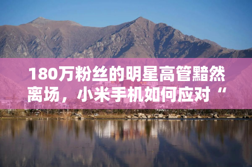 180万粉丝的明星高管黯然离场，小米手机如何应对“最卷”战场？