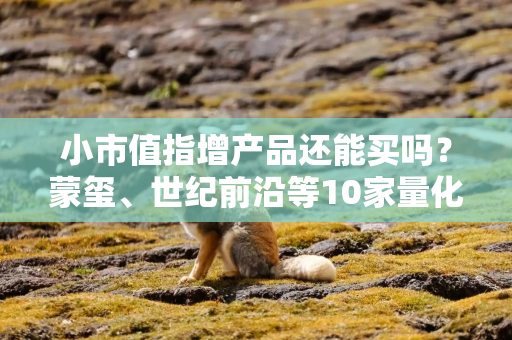 小市值指增产品还能买吗？蒙玺、世纪前沿等10家量化私募发声！
