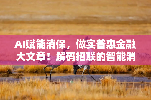 AI赋能消保，做实普惠金融大文章！解码招联的智能消保实践