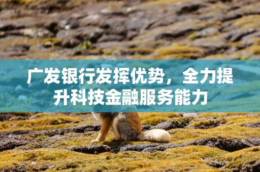 广发银行发挥优势，全力提升科技金融服务能力