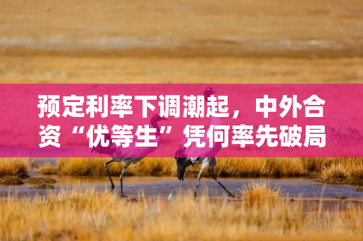预定利率下调潮起，中外合资“优等生”凭何率先破局？