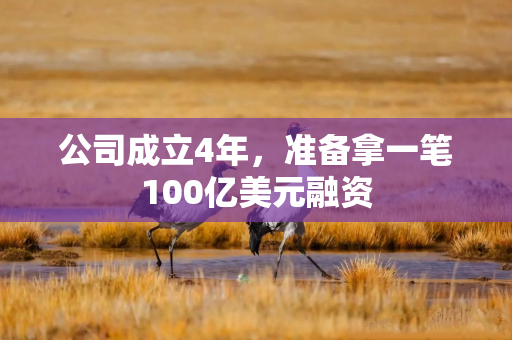 公司成立4年，准备拿一笔100亿美元融资