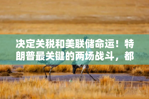决定关税和美联储命运！特朗普最关键的两场战斗，都将取决于美国高院