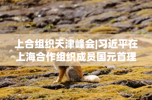 上合组织天津峰会|习近平在上海合作组织成员国元首理事会第二十五次会议上的讲话（全文）