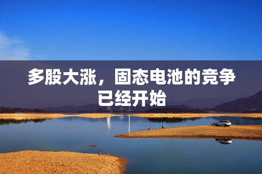 多股大涨，固态电池的竞争已经开始