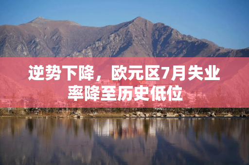 逆势下降，欧元区7月失业率降至历史低位