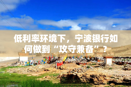 低利率环境下，宁波银行如何做到“攻守兼备”？