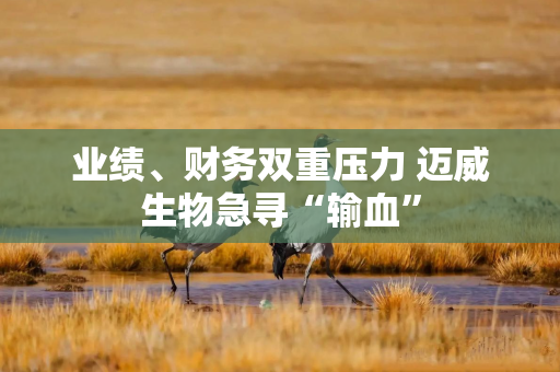 业绩、财务双重压力 迈威生物急寻“输血”