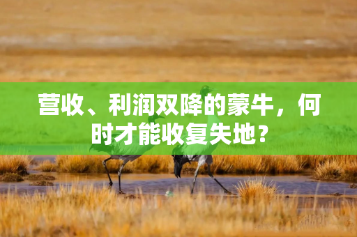 营收、利润双降的蒙牛，何时才能收复失地？