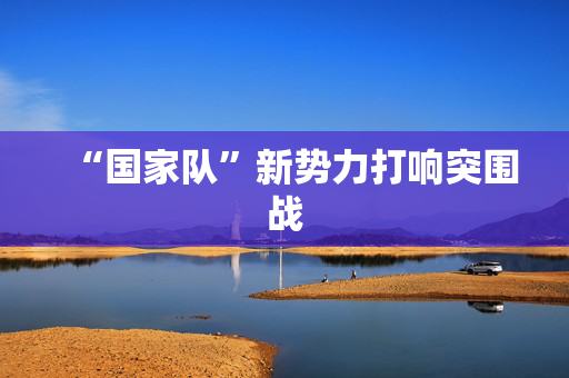 “国家队”新势力打响突围战
