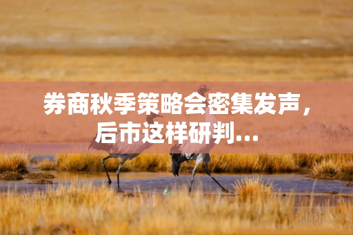 券商秋季策略会密集发声，后市这样研判…