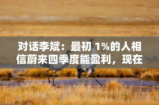 对话李斌：最初 1%的人相信蔚来四季度能盈利，现在不一样了！