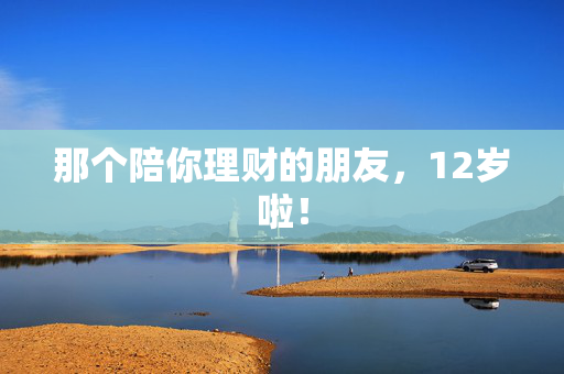 那个陪你理财的朋友，12岁啦！