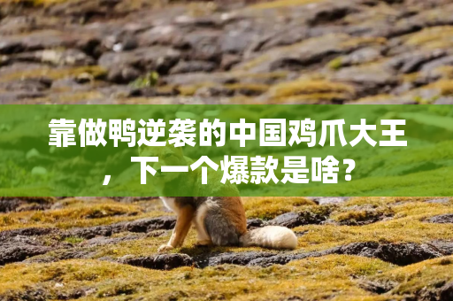 靠做鸭逆袭的中国鸡爪大王，下一个爆款是啥？