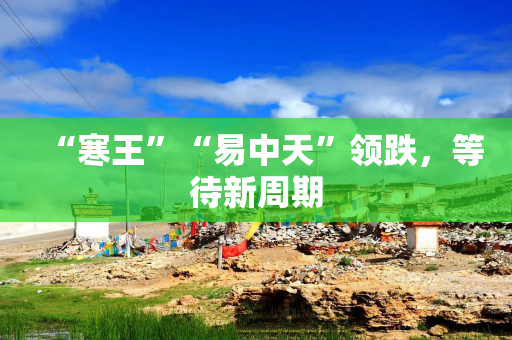 “寒王”“易中天”领跌，等待新周期