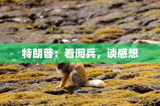特朗普：看阅兵，谈感想
